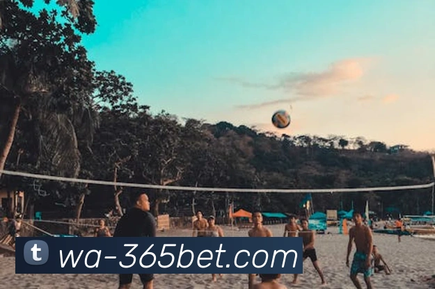 365bet平台生态图